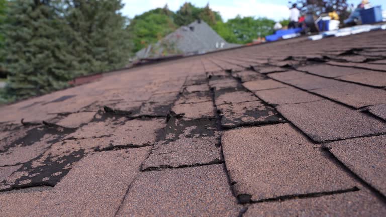 Best Roof Insulation Installation  in Los Ranchos, CA