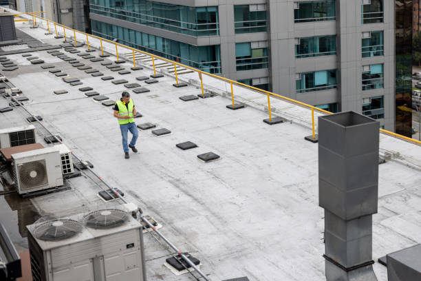 Best Chimney Flashing Repair  in Los Ranchos, CA